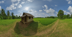 Farm Lot with Kubo in Calinan, Davao City