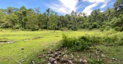 Lot For Sale in Acacia,Indangan Davao