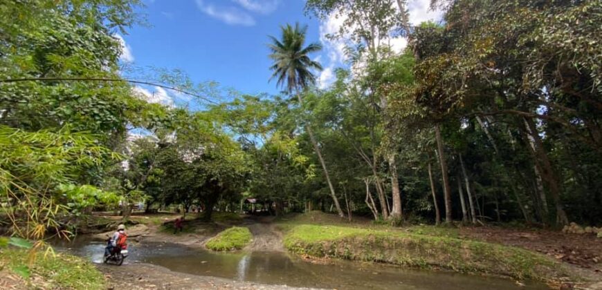 Lot For Sale in Acacia,Indangan Davao