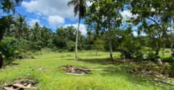 Lot For Sale in Acacia,Indangan Davao