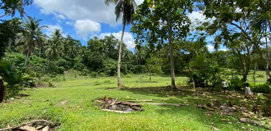 Lot For Sale in Acacia,Indangan Davao