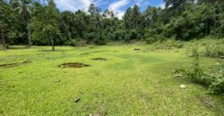 Lot For Sale in Acacia,Indangan Davao