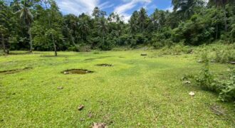 Lot For Sale in Acacia,Indangan Davao