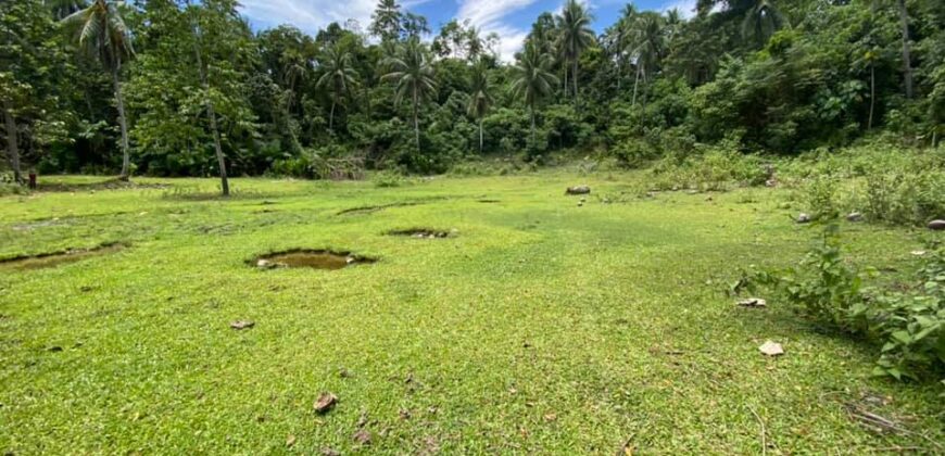 Lot For Sale in Acacia,Indangan Davao