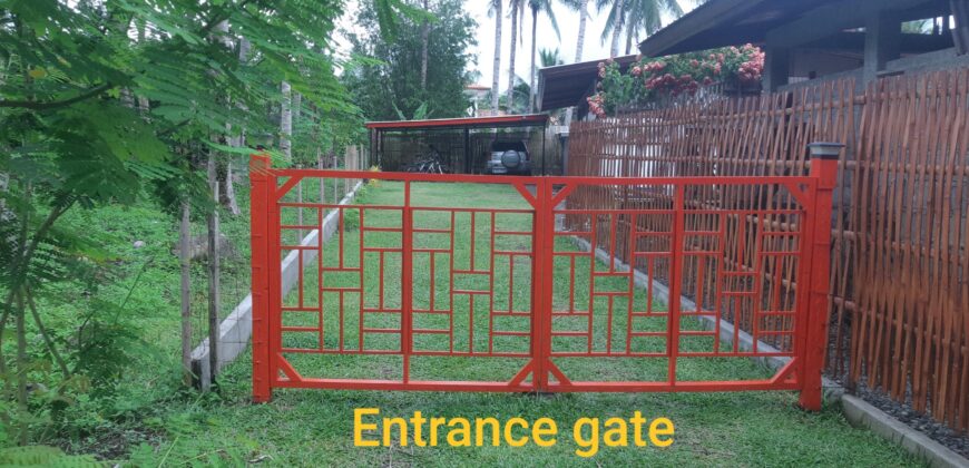 Lot for Sale in Agoho,Mambajao Camiguin