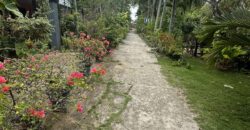 Lot for Sale in Botona,Dahican Mati City