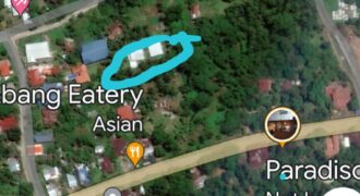 Lot for Sale in Agoho,Mambajao Camiguin