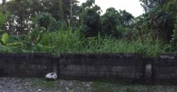 Lot for Sale in Briz, Tagum City