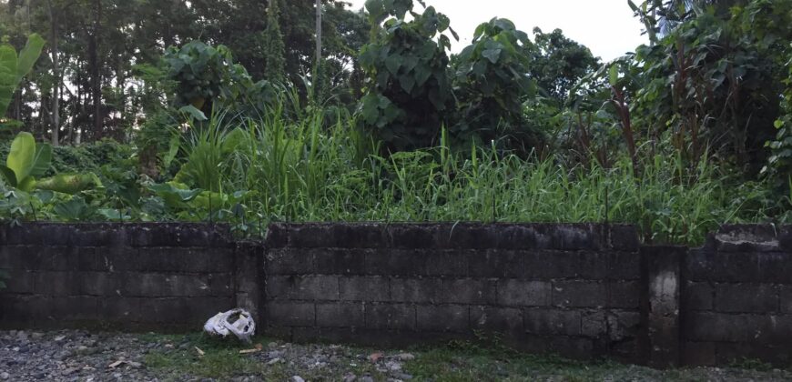 Lot for Sale in Briz, Tagum City