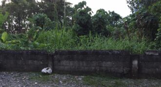 Lot for Sale in Briz, Tagum City