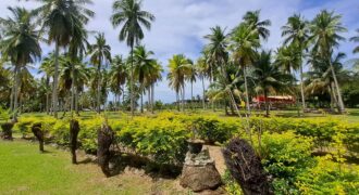 2-Hectare Beachfront Paradise for Sale
