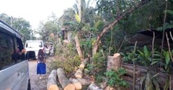 Commervial Lot for Sale in  fronting Laureta National Highschool, San Miguel Tagum