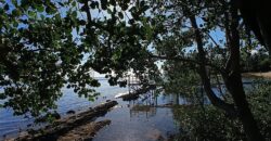 2-Hectare Beachfront Paradise for Sale