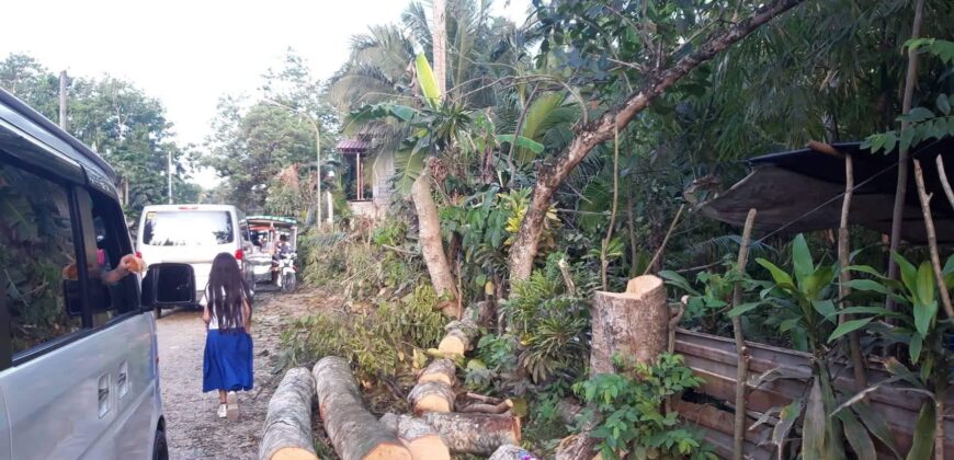 Commervial Lot for Sale in  fronting Laureta National Highschool, San Miguel Tagum