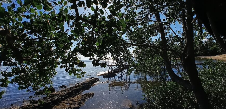 2-Hectare Beachfront Paradise for Sale