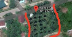 Commervial Lot for Sale in  fronting Laureta National Highschool, San Miguel Tagum