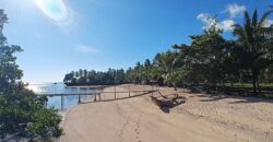 2-Hectare Beachfront Paradise for Sale