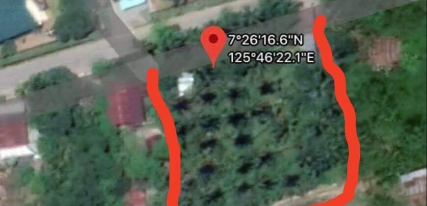 Commervial Lot for Sale in  fronting Laureta National Highschool, San Miguel Tagum