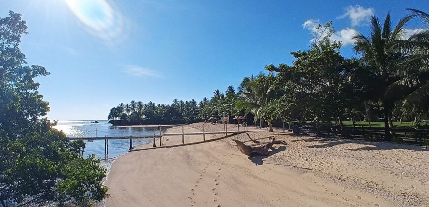 2-Hectare Beachfront Paradise for Sale