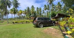 2-Hectare Beachfront Paradise for Sale