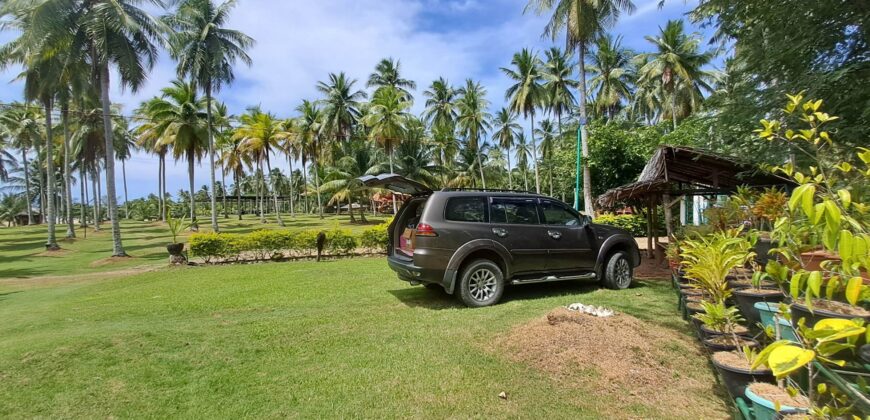 2-Hectare Beachfront Paradise for Sale