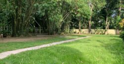 House and Lot For Sale in Basilio’s at Jbites events place – Purok 4 Bliss, Brgy San Miguel 8100 Tagum City