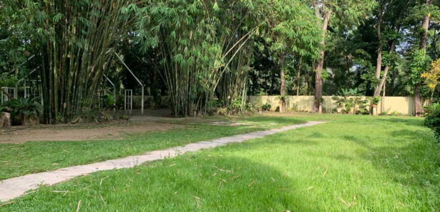 House and Lot For Sale in Basilio’s at Jbites events place – Purok 4 Bliss, Brgy San Miguel 8100 Tagum City