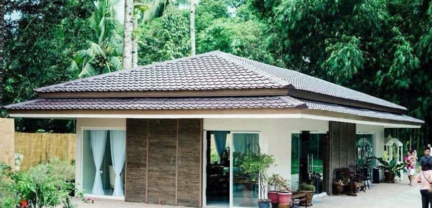 House and Lot For Sale in Basilio’s at Jbites events place – Purok 4 Bliss, Brgy San Miguel 8100 Tagum City