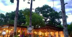 House and Lot For Sale in Basilio’s at Jbites events place – Purok 4 Bliss, Brgy San Miguel 8100 Tagum City