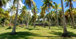 2-Hectare Beachfront Paradise for Sale