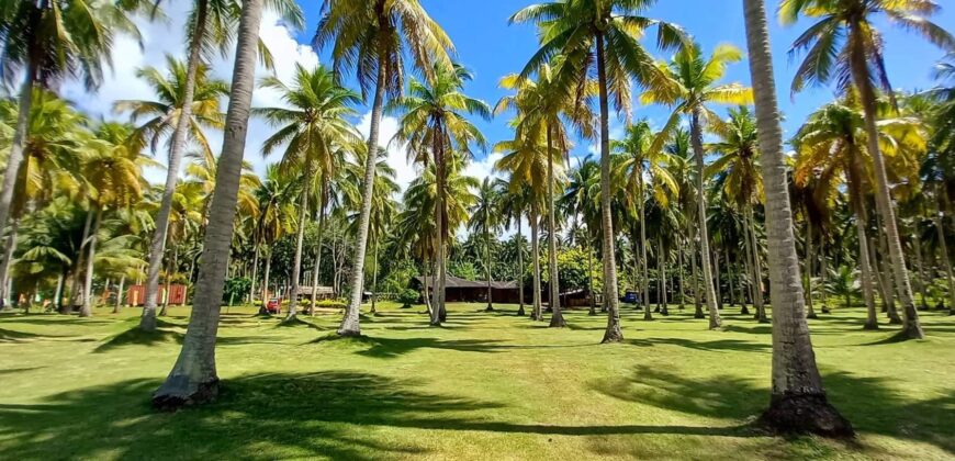 2-Hectare Beachfront Paradise for Sale