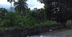 Lot for Sale in Briz, Tagum City