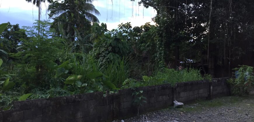 Lot for Sale in Briz, Tagum City