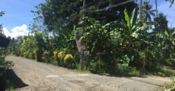 Lot For Sale in Senangote Avenue, Tagum City