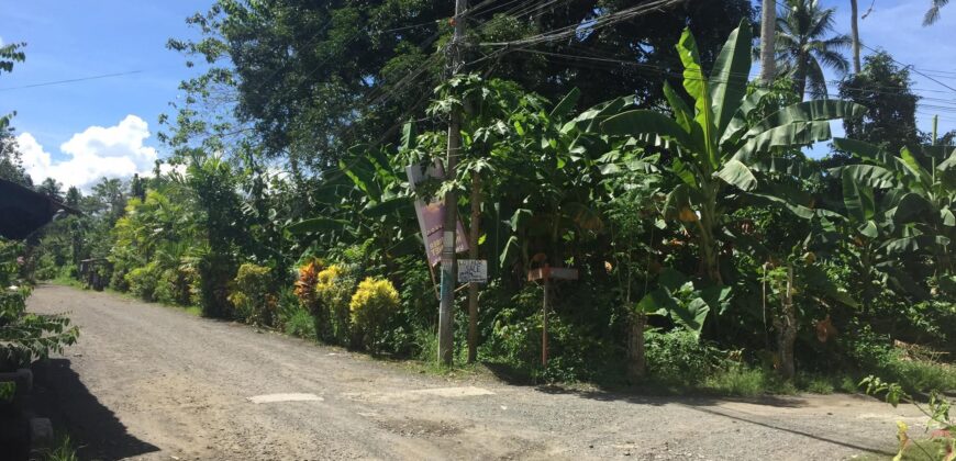 Lot For Sale in Senangote Avenue, Tagum City