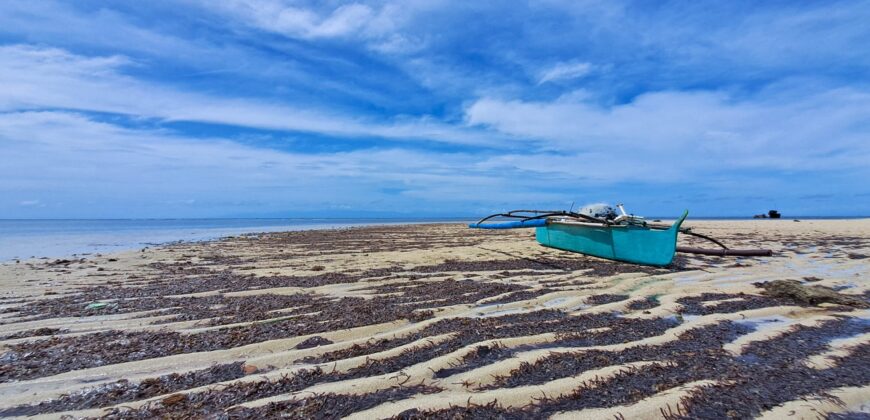 2-Hectare Beachfront Paradise for Sale