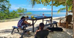 2-Hectare Beachfront Paradise for Sale
