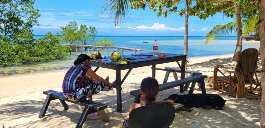 2-Hectare Beachfront Paradise for Sale