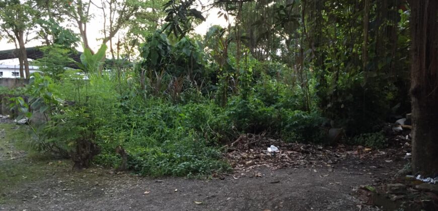 Lot for Sale in Briz, Tagum City