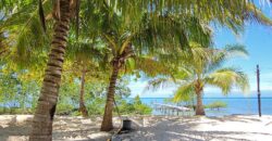 2-Hectare Beachfront Paradise for Sale