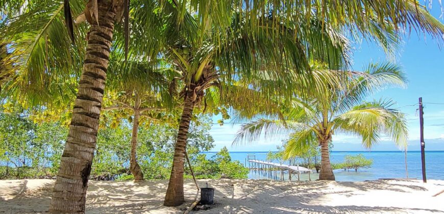 2-Hectare Beachfront Paradise for Sale