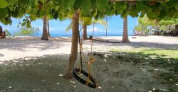 2-Hectare Beachfront Paradise for Sale