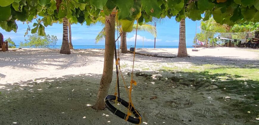 2-Hectare Beachfront Paradise for Sale