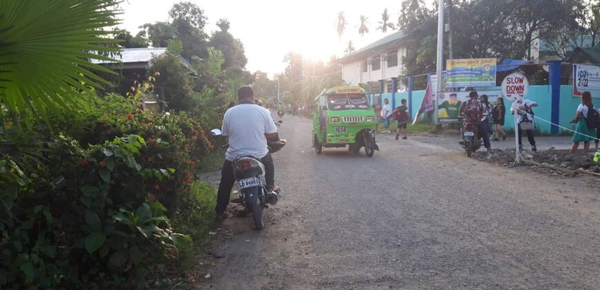 Commervial Lot for Sale in  fronting Laureta National Highschool, San Miguel Tagum