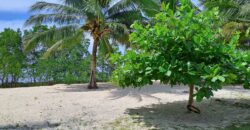 2-Hectare Beachfront Paradise for Sale