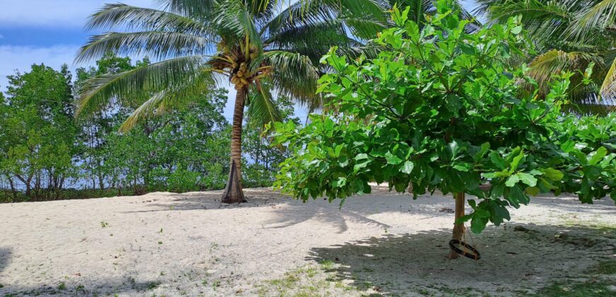2-Hectare Beachfront Paradise for Sale