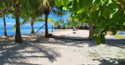 2-Hectare Beachfront Paradise for Sale