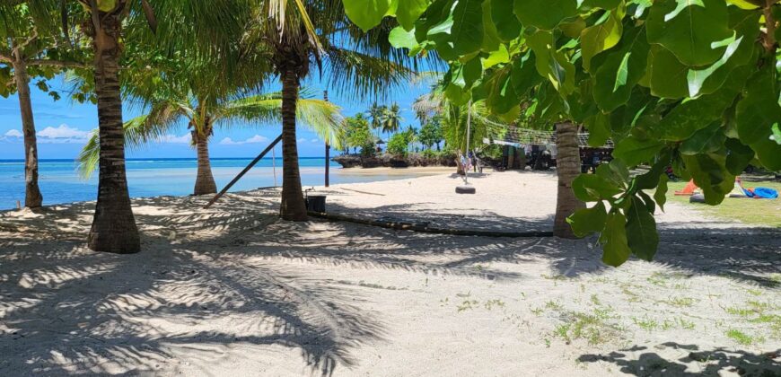 2-Hectare Beachfront Paradise for Sale