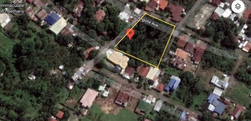 Lot For Sale in Senangote Avenue, Tagum City
