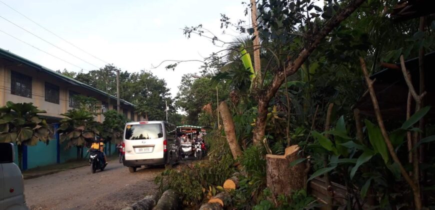 Commervial Lot for Sale in  fronting Laureta National Highschool, San Miguel Tagum